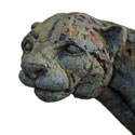 Head of a Cheetah