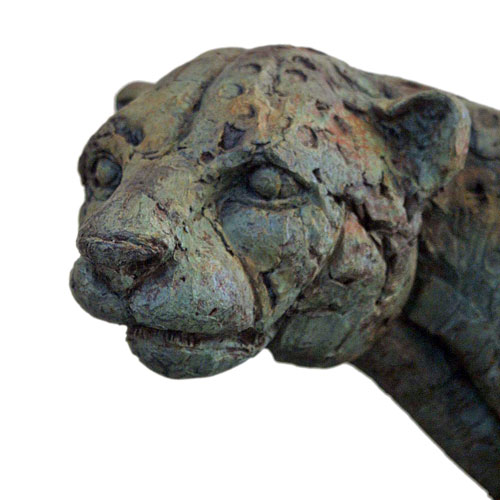 Head of a Cheetah
