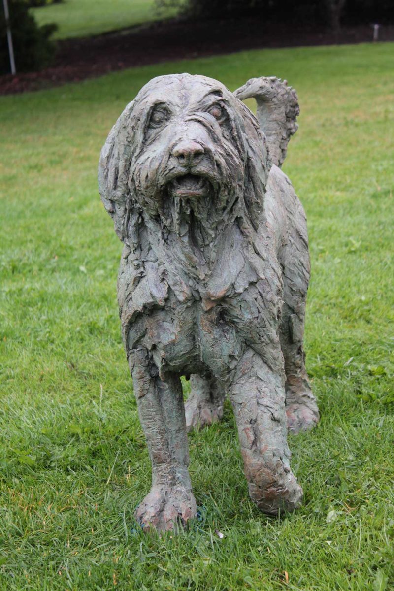 Shaggy Dog Story - Bearded Collie sculpture