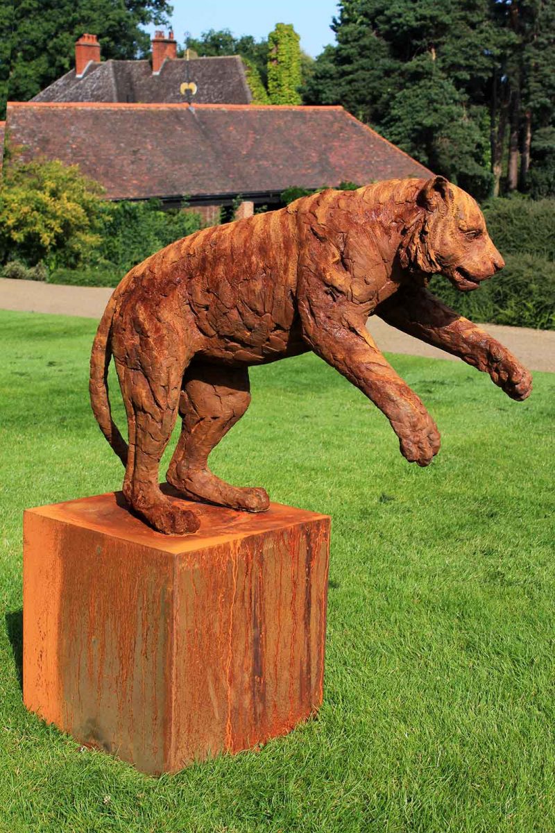 Sumatran Tiger - Adolescent sculpture