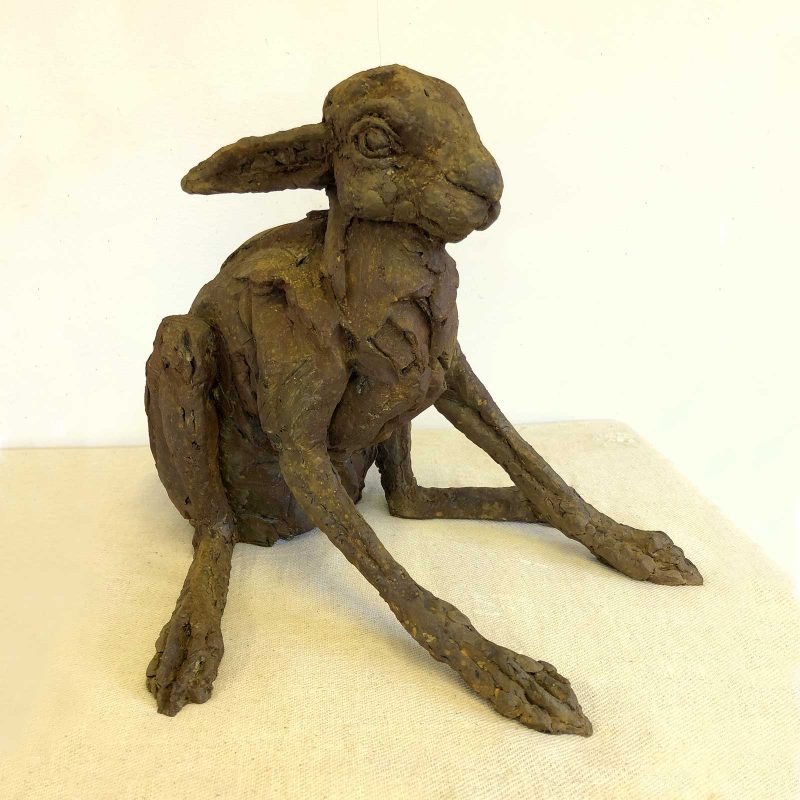 Startled Hare - Image 3